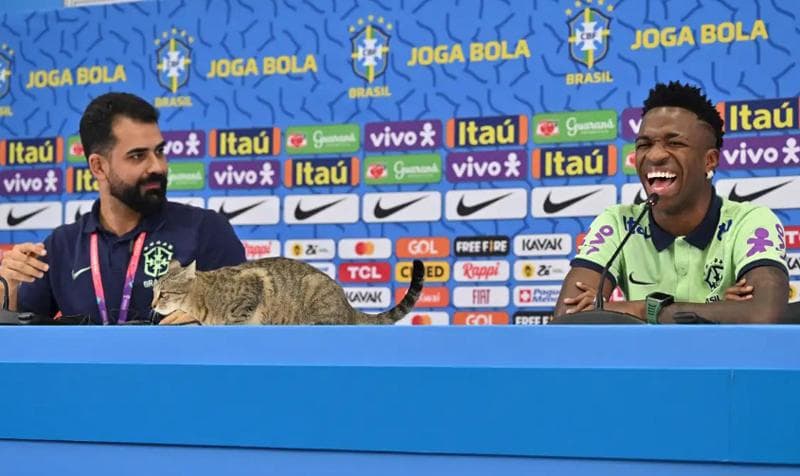 Kocak, Vinicius Ditemani Kucing saat Konferensi Pers Jelang Kroasia Vs Brasil