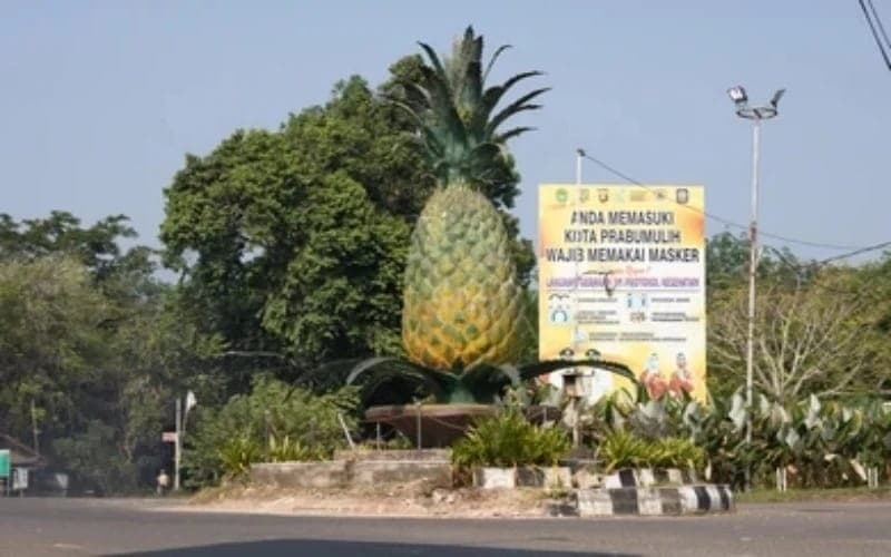 Prabumulih Kota Penghasil Nanas Termanis dan Kaya Minyak, Daerah Lain Jangan Sombong Prabumulih Kota Penghasil Nanas Termanis dan Kaya Minyak, Daerah Lain Jangan Sombong