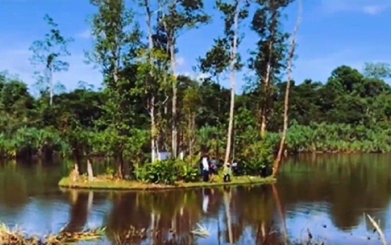 Keunikan Pulau Bergerak di Kalbar, Ikuti Arus Sungai pada Waktu Tertentu Keunikan Pulau Bergerak di Kalbar, Ikuti Arus Sungai pada Waktu Tertentu