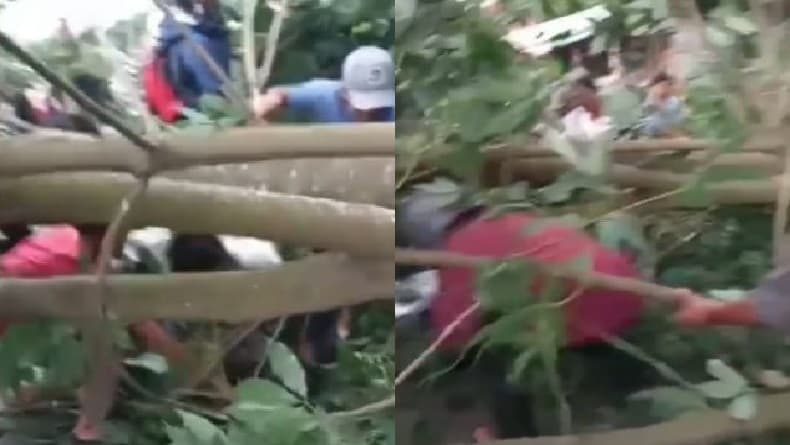 Pohon Karet Tua Tumbang Timpa 2 Pengendara Motor di Gunung Putri Purwakarta Pohon Karet Tua Tumbang Timpa 2 Pengendara Motor di Gunung Putri Purwakarta