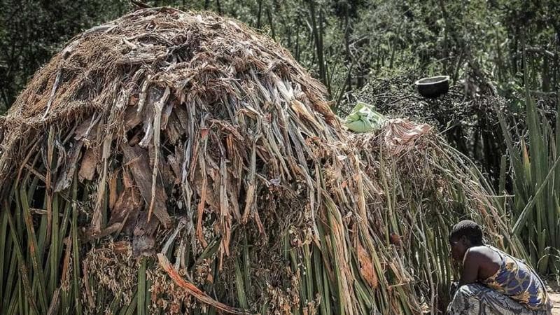 Unik Suku di Afrika Ini Membangun Rumah Pakai Ranting, Semua Pekerjanya Wanita Unik Suku di Afrika Ini Membangun Rumah Pakai Ranting, Semua Pekerjanya Wanita