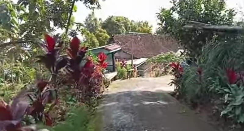 Kampung Unik di Nganjuk yang Dihuni 13 Rumah, Pendatang Baru Harus Hati-Hati saat Singgah! Kampung Unik di Nganjuk yang Dihuni 13 Rumah, Pendatang Baru Harus Hati-Hati saat Singgah!