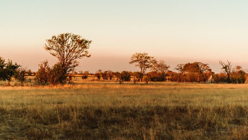 7 Negara yang Punya Tempat Terburuk untuk Hidup, Nomor 5 Pelanggaran HAM Merajalela 7 Negara yang Punya Tempat Terburuk untuk Hidup, Nomor 5 Pelanggaran HAM Merajalela