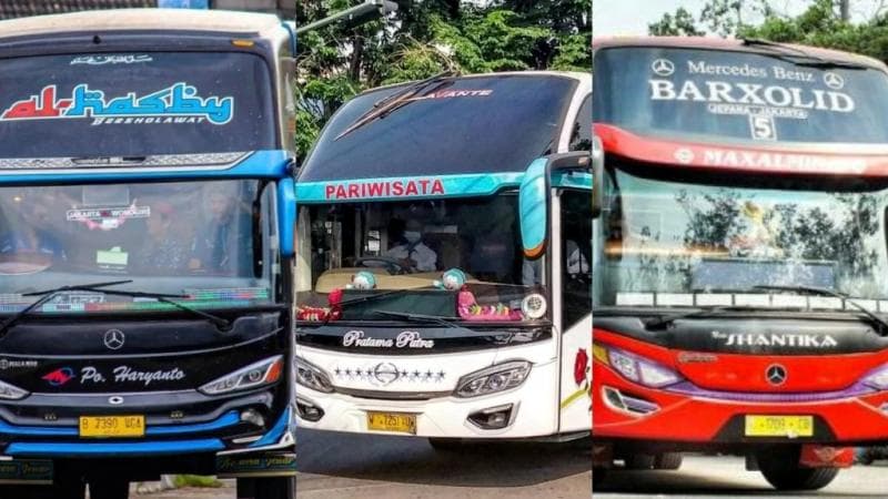 4 Bos PO Bus Rutin Berangkatkan Umroh dan Haji Karyawan, Ada Setiap 3 Bulan Sekali 4 Bos PO Bus Rutin Berangkatkan Umroh dan Haji Karyawan, Ada Setiap 3 Bulan Sekali