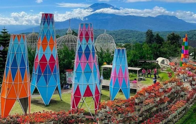 Harga Tiket Masuk Taman Bunga Celosia, Hanya Rp25.000 Dapat Beragam Spot Foto Harga Tiket Masuk Taman Bunga Celosia, Hanya Rp25.000 Dapat Beragam Spot Foto