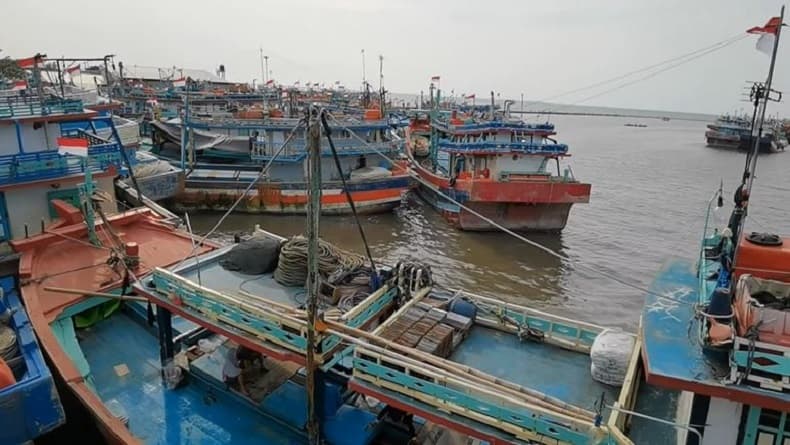 Potret 7 Daerah Terkaya di Jawa Tengah, Nomor 6 Jadi Pusat Perikanan Laut Potret 7 Daerah Terkaya di Jawa Tengah, Nomor 6 Jadi Pusat Perikanan Laut