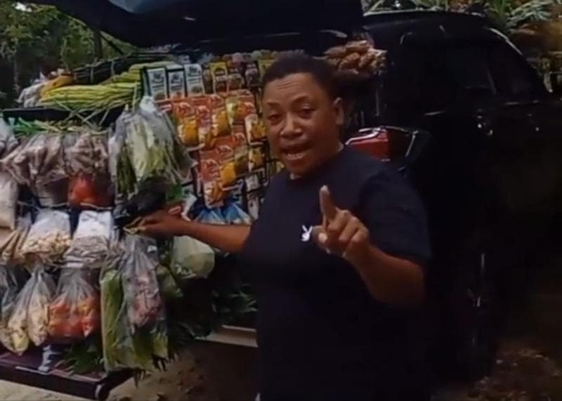 Viral Mobil SUV Mewah Dipakai Jualan Sayur, Netizen: Laris Manis Mamae Viral Mobil SUV Mewah Dipakai Jualan Sayur, Netizen: Laris Manis Mamae