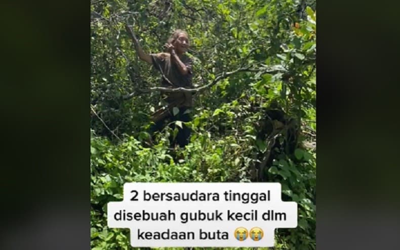 Bikin Haru, 2 Bersaudara Buta Hidup dalam Gubuk di Tengah Hutan Kintamani Bali Bikin Haru, 2 Bersaudara Buta Hidup dalam Gubuk di Tengah Hutan Kintamani Bali