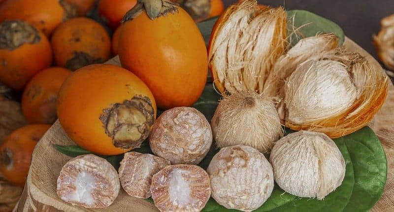 Cara Mengolah Buah Pinang Muda untuk Wanita, Enak Dibuat Jadi Minuman Segar Cara Mengolah Buah Pinang Muda untuk Wanita, Enak Dibuat Jadi Minuman Segar
