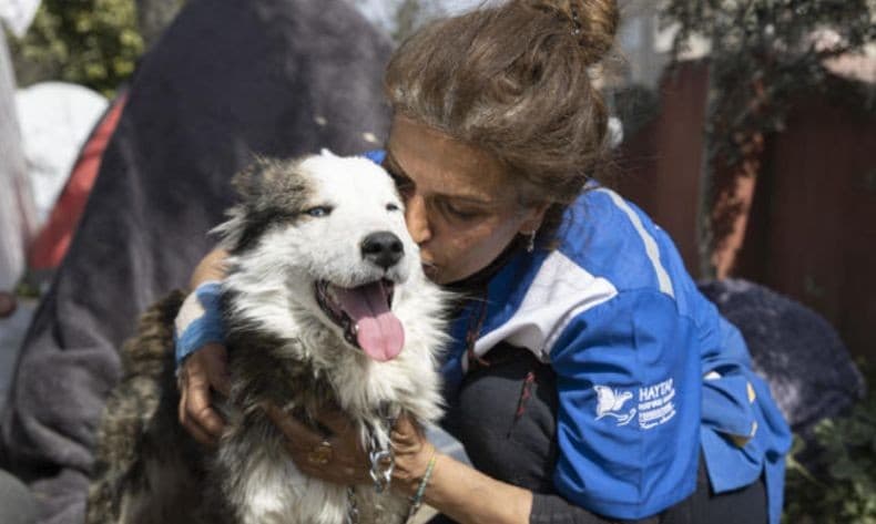 3 Pekan Gempa Turki, Seekor Anjing Diselamatkan dari Reruntuhan Bangunan