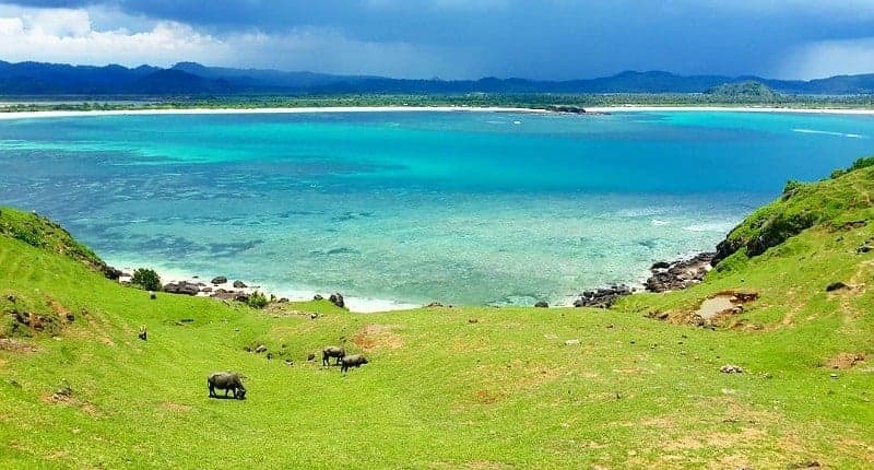 Bukit Merese, Pemandangan Eksotis di Lombok Berselimut Rumput Hijau dan Laut Biru Bukit Merese, Pemandangan Eksotis di Lombok Berselimut Rumput Hijau dan Laut Biru