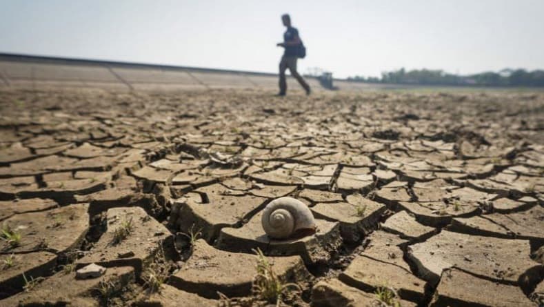 Hujan Tak Kunjung Turun, Kekeringan Nyaris Melanda Seluruh Wilayah NTT Hujan Tak Kunjung Turun, Kekeringan Nyaris Melanda Seluruh Wilayah NTT