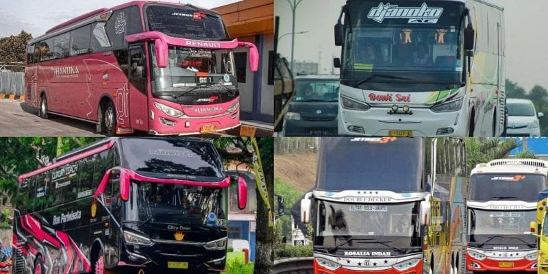 Deretan PO Bus Ini Identik Nama Wanita, Ada yang Punya Aset Triliunan Rupiah Deretan PO Bus Ini Identik Nama Wanita, Ada yang Punya Aset Triliunan Rupiah