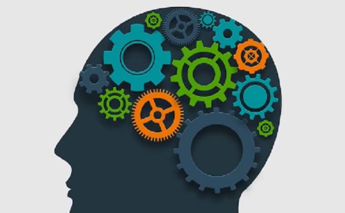 10 Negara dengan IQ Tertinggi di Dunia, Indonesia Termasuk? 10 Negara dengan IQ Tertinggi di Dunia, Indonesia Termasuk?