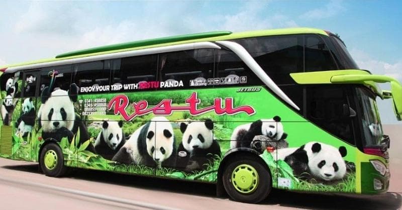 Deretan PO Bus Bergambar Hewan, Ada yang Gunakan Panda untuk Ubah Image Deretan PO Bus Bergambar Hewan, Ada yang Gunakan Panda untuk Ubah Image
