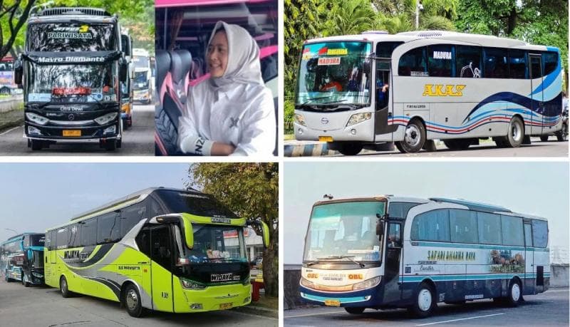 6 PO Bus Pakai Nama Pemiliknya, Nomor 5 Diwariskan ke Anak Perempuan Masih SMA 6 PO Bus Pakai Nama Pemiliknya, Nomor 5 Diwariskan ke Anak Perempuan Masih SMA