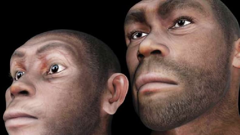 Homo Sapiens, Jenis Manusia Purba yang Sudah Mencapai Tingkat Kesempurnaan