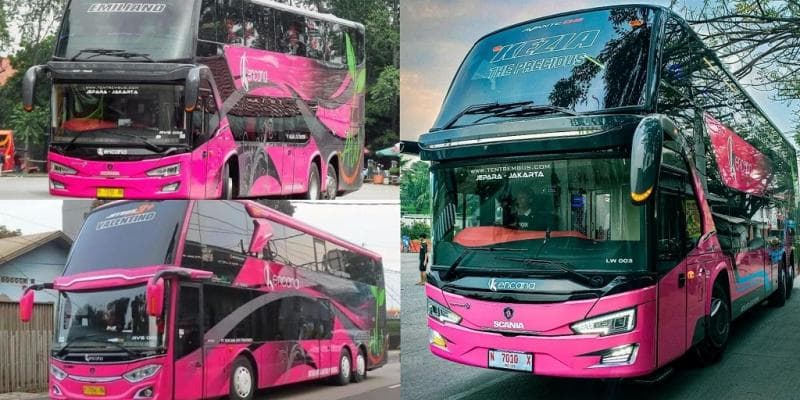 3 Bus Double Decker PO Kencana Dinamai Anak Pemiliknya, Terbaru Dikasih Nama Kezia 3 Bus Double Decker PO Kencana Dinamai Anak Pemiliknya, Terbaru Dikasih Nama Kezia