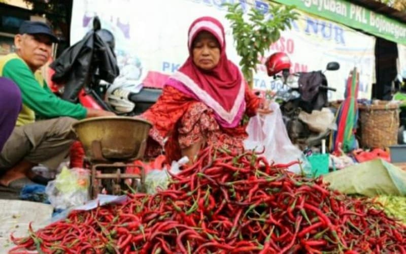 Kabupaten Penghasil Cabai Terbesar di Sumsel, Ternyata Bukan Pagaralam Kabupaten Penghasil Cabai Terbesar di Sumsel, Ternyata Bukan Pagaralam