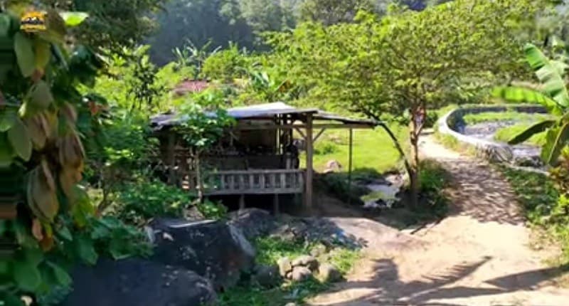 Viral, Ada Warung Buka di Tepi Sungai padahal Jauh dari Keramaian, Suasananya Bikin Takjub! Viral, Ada Warung Buka di Tepi Sungai padahal Jauh dari Keramaian, Suasananya Bikin Takjub!