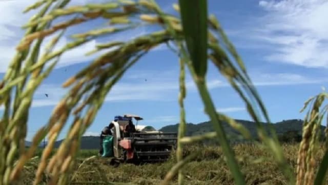 Maluku Provinsi Penerima Alat dan Mesin Pertanian Terbanyak, Traktor hingga Kultivator