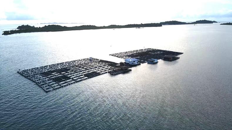 Tak Berizin, 2 Hektare Keramba Jaring Apung di Batam Disegel Tak Berizin, 2 Hektare Keramba Jaring Apung di Batam Disegel