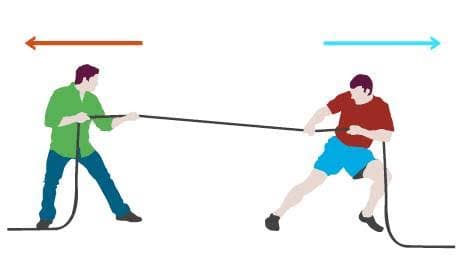 Contoh Gaya Otot dan Manfaatnya dalam Kehidupan Sehari-hari Contoh Gaya Otot dan Manfaatnya dalam Kehidupan Sehari-hari