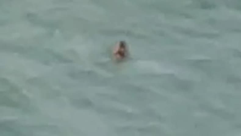 Pria asal Bangkalan Loncat dari Jembatan Suramadu, Diduga Bunuh Diri Pria asal Bangkalan Loncat dari Jembatan Suramadu, Diduga Bunuh Diri