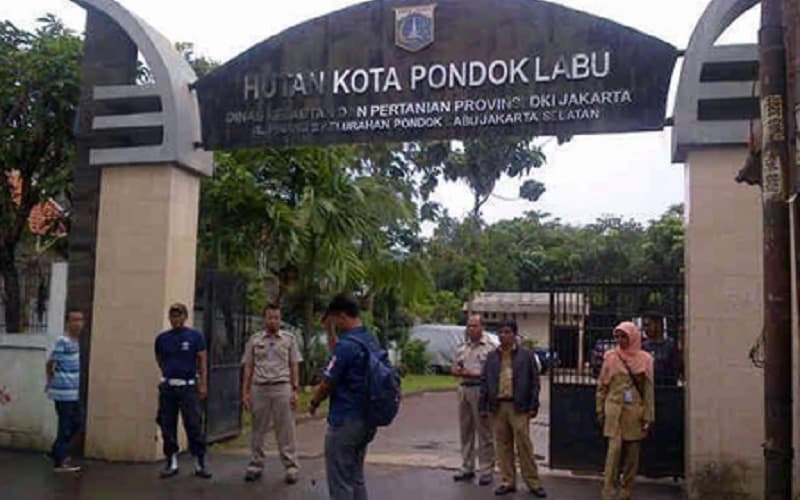 Sejarah Pondok Labu Jaksel, Wilayah Perkebunan dan Pertanian yang Kini Jadi Kawasan Pelajar Sejarah Pondok Labu Jaksel, Wilayah Perkebunan dan Pertanian yang Kini Jadi Kawasan Pelajar