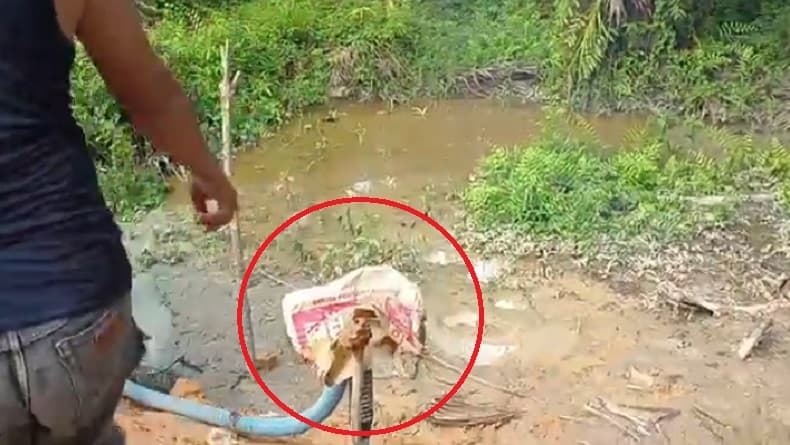 Geger Sumur Bor Keluarkan Bau Gas hingga Percikan Api di OKI, Warga Panik Geger Sumur Bor Keluarkan Bau Gas hingga Percikan Api di OKI, Warga Panik