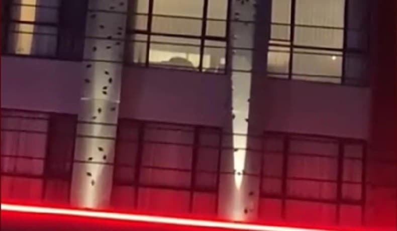 Viral Video Mesum Penghuni Hotel di Lubuklinggau, Diduga Lupa Tutup Tirai Jendela Viral Video Mesum Penghuni Hotel di Lubuklinggau, Diduga Lupa Tutup Tirai Jendela