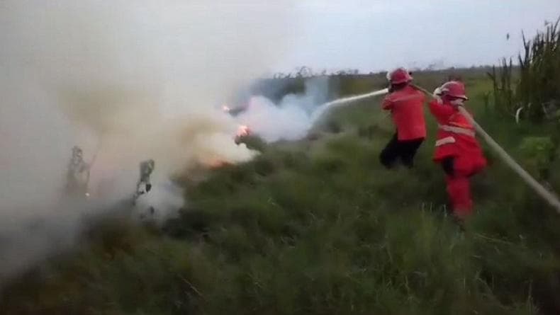 52 Kejadian Bencana Sepekan, Paling Banyak Karhutla dan Banjir 52 Kejadian Bencana Sepekan, Paling Banyak Karhutla dan Banjir