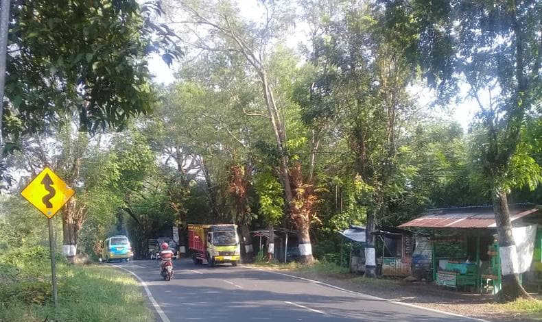 Menyusuri Tanjakan Semingkir Pemalang, Jalur Angker yang Menyimpan Pesona Alam Indah Menyusuri Tanjakan Semingkir Pemalang, Jalur Angker yang Menyimpan Pesona Alam Indah