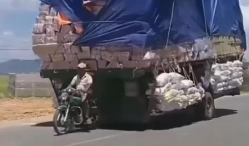Viral Motor Bawa Bak Truk Trailer Penuh Muatan, Lewati Batas Tinggi dan Lebar Viral Motor Bawa Bak Truk Trailer Penuh Muatan, Lewati Batas Tinggi dan Lebar