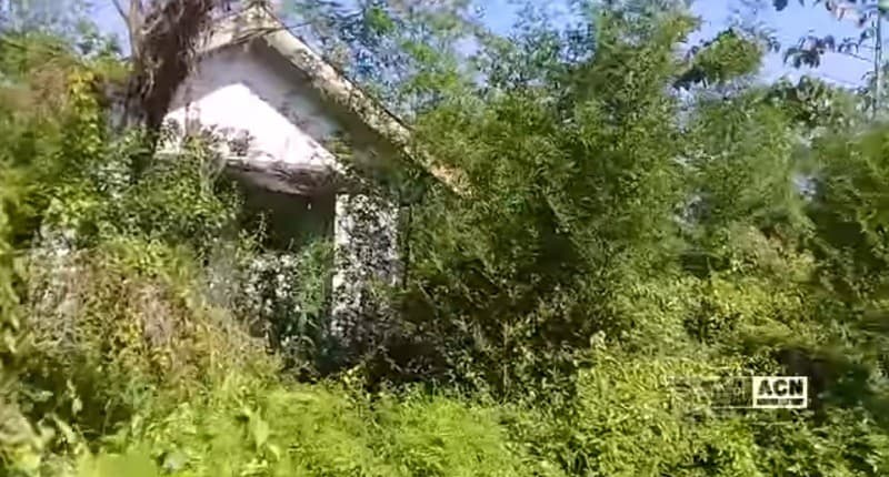 Kampung Unik di Banyuwangi, Singgah ke Permukiman Terpencilnya Bikin Merinding Mirip Desa Penari Kampung Unik di Banyuwangi, Singgah ke Permukiman Terpencilnya Bikin Merinding Mirip Desa Penari