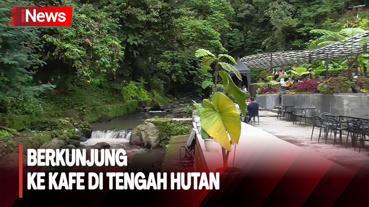 Nusantara Healing and Chill, Kafe Keren di Tengah Hutan yang Asri Nusantara Healing and Chill, Kafe Keren di Tengah Hutan yang Asri