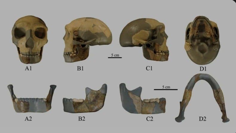 Ini Manusia Purba Tertua di Indonesia, Berbadan Besar dan Perawakan Tegap Ini Manusia Purba Tertua di Indonesia, Berbadan Besar dan Perawakan Tegap