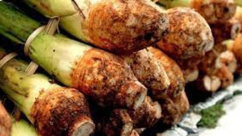 Contoh Teks Argumentasi Tentang Makanan Lokal yang Bisa Jadi Referensi Belajar Siswa Contoh Teks Argumentasi Tentang Makanan Lokal yang Bisa Jadi Referensi Belajar Siswa