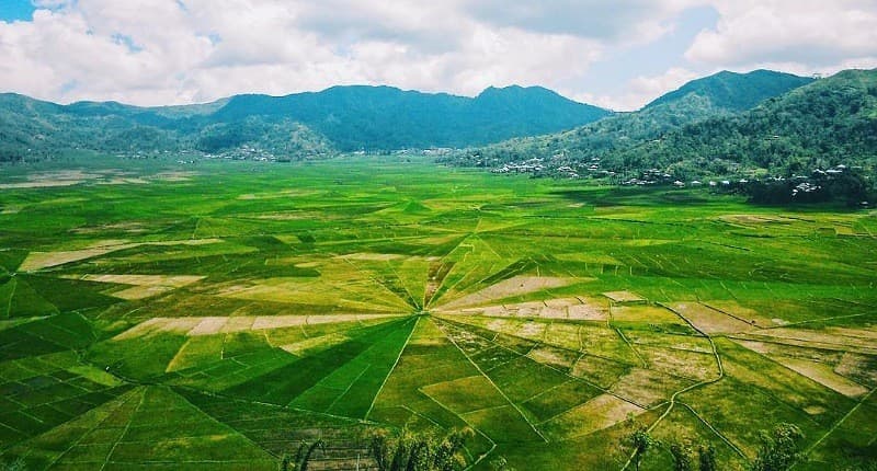 5 Kampung Unik Punya Pemandangan Sawah Terindah di Indonesia, Cantik Berpetak-petak 5 Kampung Unik Punya Pemandangan Sawah Terindah di Indonesia, Cantik Berpetak-petak