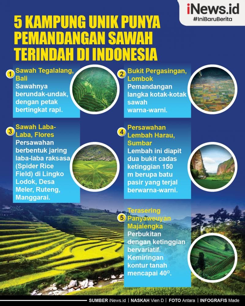 Infografis 5 Kampung Unik Punya Pemandangan Sawah Terindah di Indonesia Infografis 5 Kampung Unik Punya Pemandangan Sawah Terindah di Indonesia