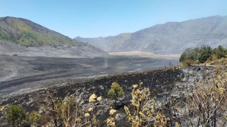 Gunung Bromo Kembali Dibuka, Wisatawan Wajib Tahu Cara Pesan Tiketnya! Gunung Bromo Kembali Dibuka, Wisatawan Wajib Tahu Cara Pesan Tiketnya!
