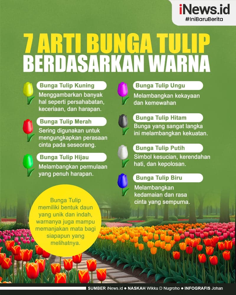Infografis 7 Arti Bunga Tulip Berdasarkan Warna Infografis 7 Arti Bunga Tulip Berdasarkan Warna