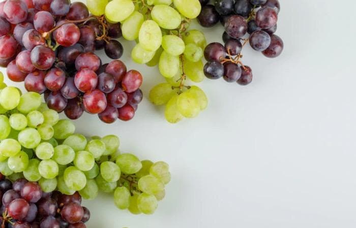 Anggur Termahal di Dunia Ternyata dari Negara Ini, Harganya Capai Rp180 Juta! Anggur Termahal di Dunia Ternyata dari Negara Ini, Harganya Capai Rp180 Juta!