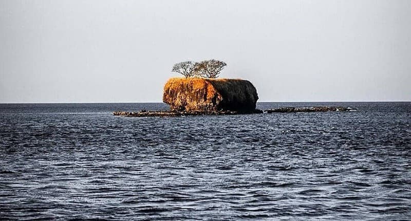 5 Surga Tersembunyi Kota Bima, Merinding Ada Pulau Eksotis hanya Dihuni Ular Belang 5 Surga Tersembunyi Kota Bima, Merinding Ada Pulau Eksotis hanya Dihuni Ular Belang