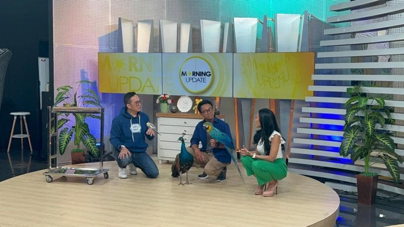 Jangan Sembarangan Pilih, Ini Jenis Hewan Eksotis yang Bisa Dipelihara di Rumah Jangan Sembarangan Pilih, Ini Jenis Hewan Eksotis yang Bisa Dipelihara di Rumah