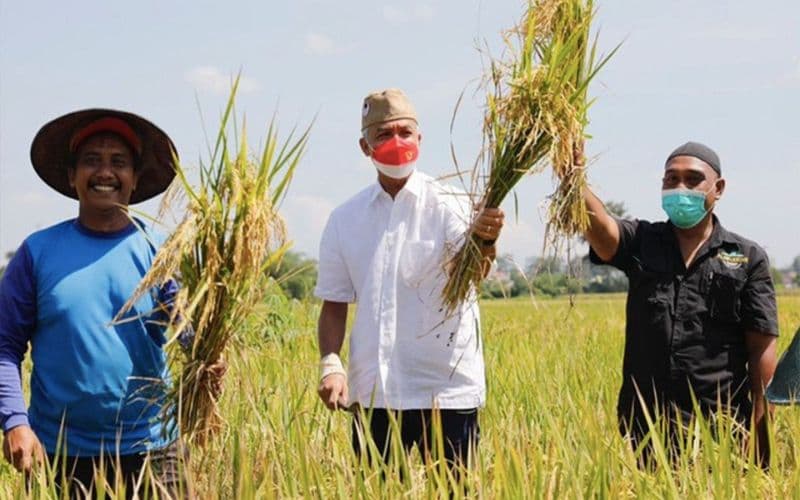 Ganjar Pranowo Sebut Indonesia Bisa jadi Lumbung Pangan Dunia dengan Cara Ini! Ganjar Pranowo Sebut Indonesia Bisa jadi Lumbung Pangan Dunia dengan Cara Ini!