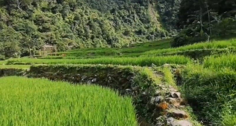 Kampung Unik di Bogor, Punya Air Terjun Cantik dengan Sawah Hijau Suasananya seperti di Ubud Kampung Unik di Bogor, Punya Air Terjun Cantik dengan Sawah Hijau Suasananya seperti di Ubud