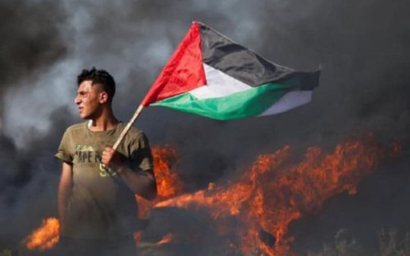 40 Kata-kata untuk Palestina Singkat, Bisa Dibagikan di Sosmed 40 Kata-kata untuk Palestina Singkat, Bisa Dibagikan di Sosmed