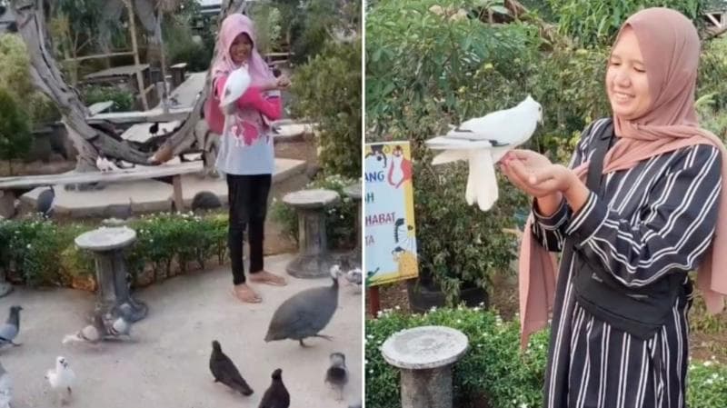 5 Wisata Edukasi di Kudus untuk Keluarga, Ada Taman Berisi 1.000 Merpati 5 Wisata Edukasi di Kudus untuk Keluarga, Ada Taman Berisi 1.000 Merpati