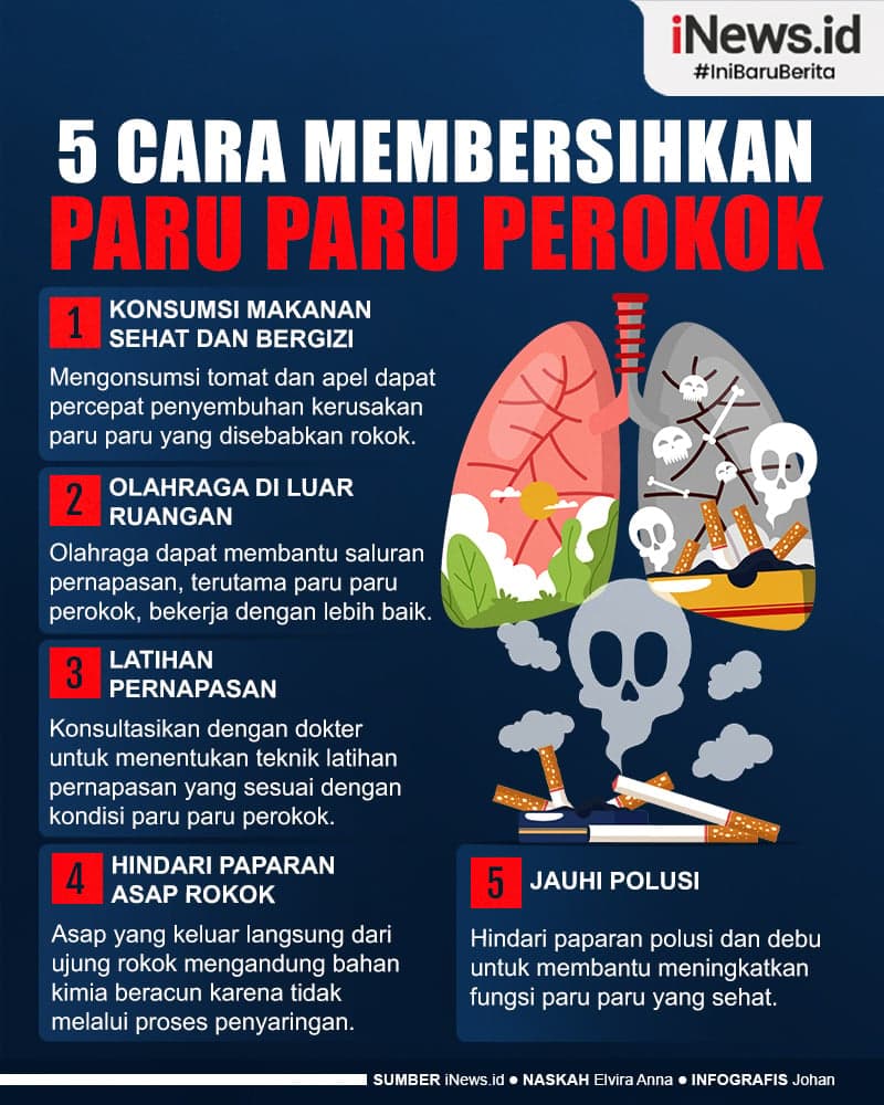 Infografis 5 Cara Membersihkan Paru Paru Perokok Infografis 5 Cara Membersihkan Paru Paru Perokok